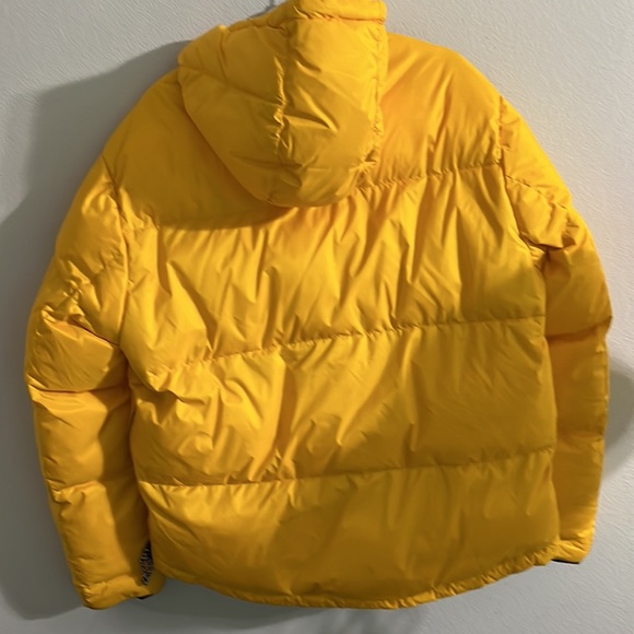 TOMMY - Picture 3 of 3